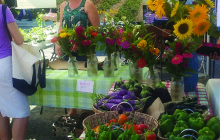 The Apex Farmers Market – Your Saturday Morning Family Destination 		 By Amy Iori