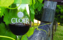 Cloer Family Vineyards By: Stacy Kivett