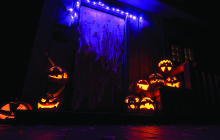 Halloween in the Time of COVID-19.  by Janice Lewine