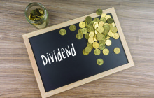 Investing for Dividend Income. By Deborah Hobart
