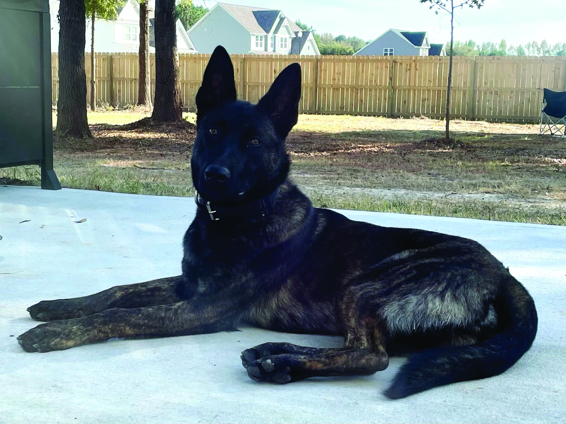 The Ties That Bind – Inside Apex PD’s K9 Unit    By Michael Laches