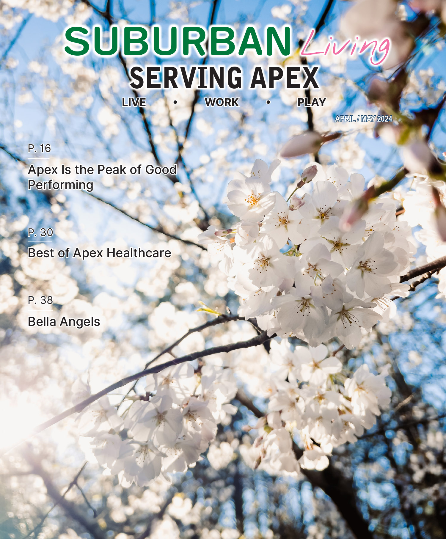 Apex April_May 24 cover