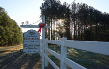 Apex Bicentennial Farms and the Goodwin Family Legacy