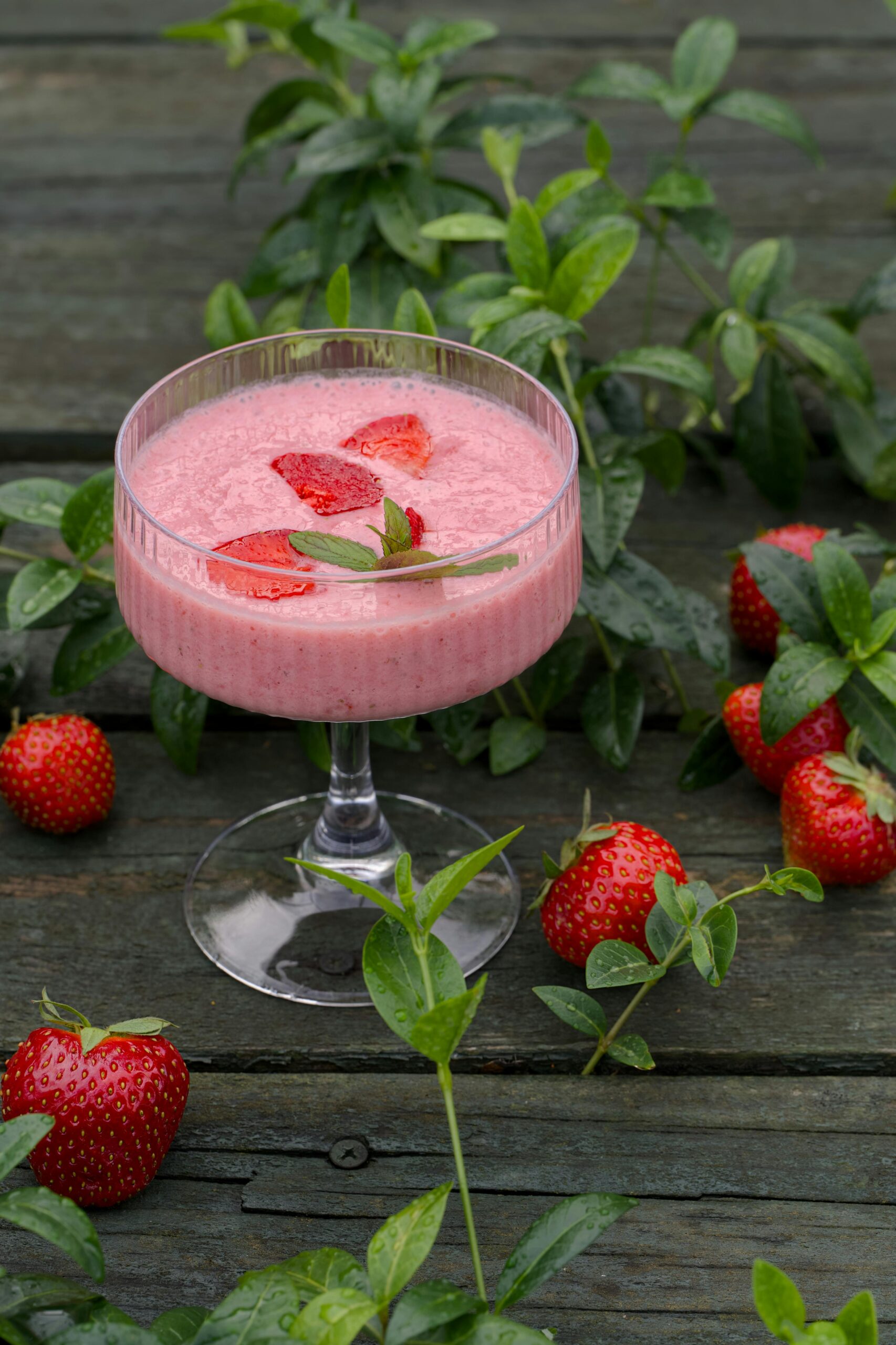 Strawberry Social